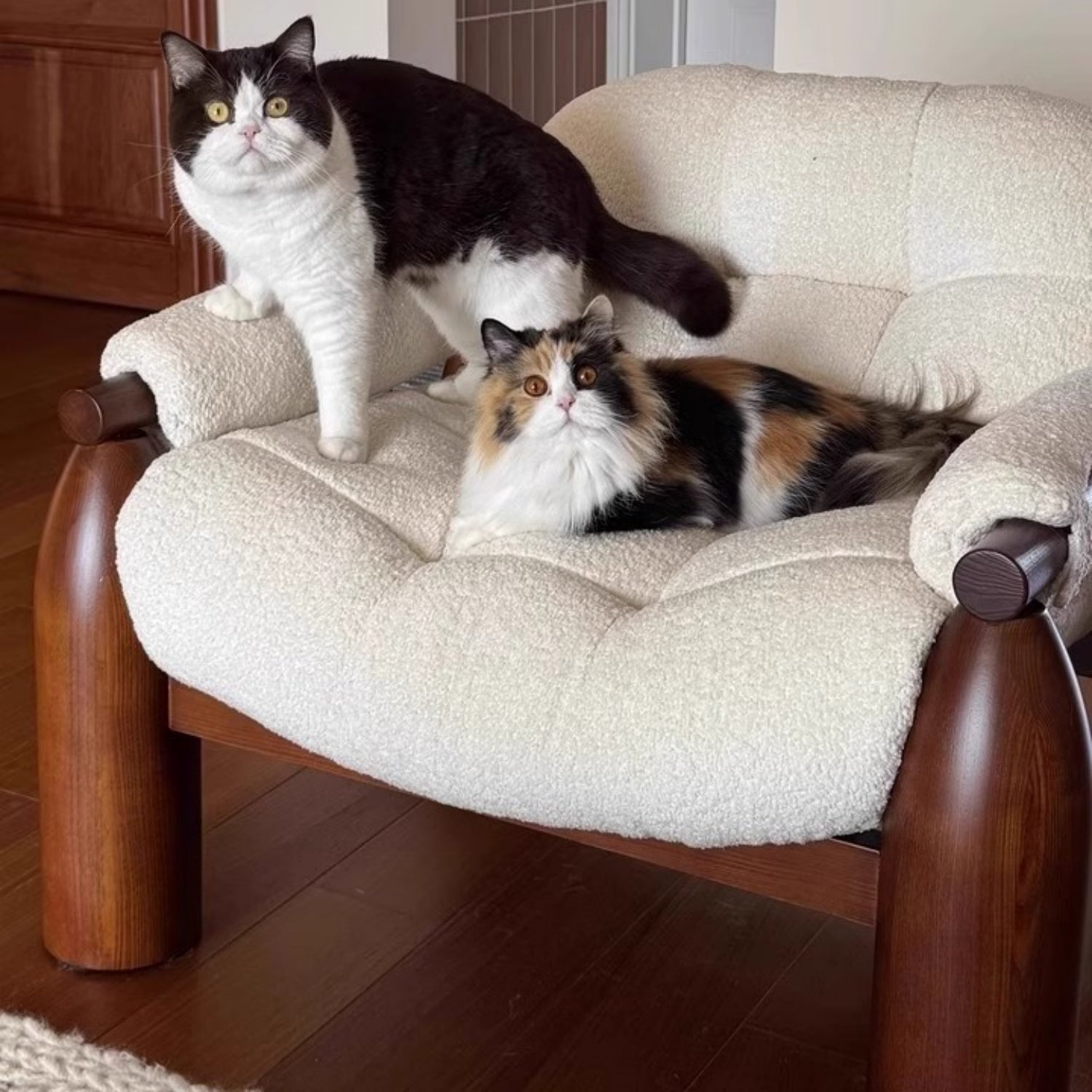 Discover the Story Behind AAF Furniture: Where Style Meets Comfort